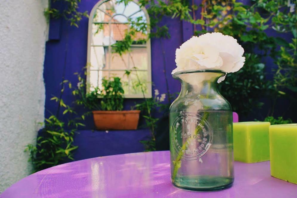 Glanmor Garden Apartment สวอนซี ภายนอก รูปภาพ
